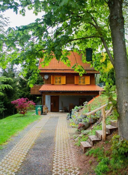 Ferienhaus Sonnenblick Entspannung Mit Sauna Kamin Und Balkon زونهبرغ المظهر الخارجي الصورة