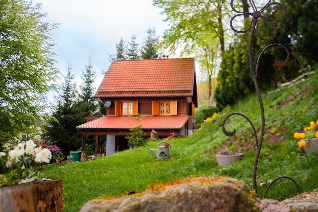 Ferienhaus Sonnenblick Entspannung Mit Sauna Kamin Und Balkon زونهبرغ المظهر الخارجي الصورة